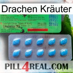 Drachen Kräuter new03